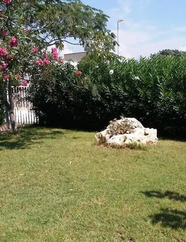 Francesco & Chiara * 托雷科里梅纳